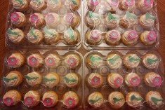 Cupcakes (2)